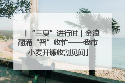 “三夏”进行时｜金浪翻涌“智”收忙——我市小麦开镰收割见闻